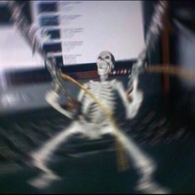 le0sym's profile picture. this is a stupid account