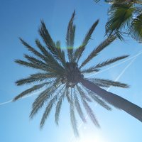 BeMindfulBCN (@bemindfulbcn) 's Twitter Profile Photo BeMindfulBCN (@bemindfulbcn) 's Twitter Profile Photo
