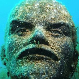 __Scaggs__'s profile picture. Libertarian socialist  and Sheffield Wednesday fan.