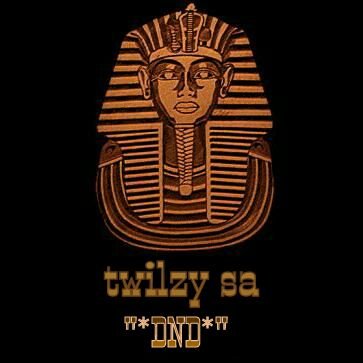 twilzy_sa's profile picture. Recording artist:Flamegang's very own: Infinity visions ✌👑