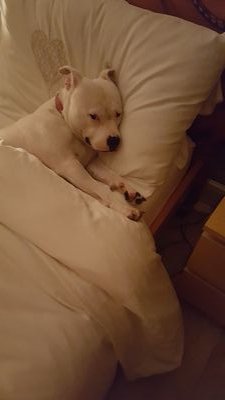 potterelize's profile picture. 