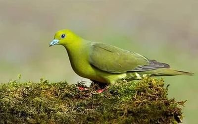 java_kadar's profile picture. காதலை நேசிப்பதைவிட
கவிதையை நேசித்துப்பார்
காதல் உன்னை நேசிக்கும்