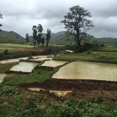 ravivarmacbi's profile picture. CEO, Madhu Holdings, R.V.Realcon, Vizag Spirits.