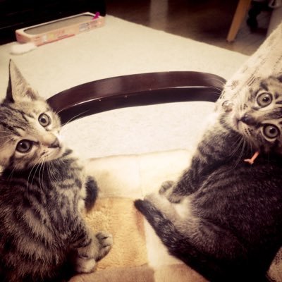 T3Ahr's profile picture. 