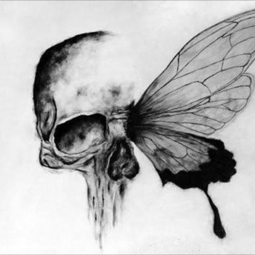 sscouts101's profile picture. If everyone is prepared, defending becomes befriending. There is safety in unity. Lets Educate. Survival / Prepping / Life Hacks. Long term / Short term 21+