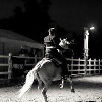 A B Film Horses (@abfilmhorses) 's Twitter Profile Photo A B Film Horses (@abfilmhorses) 's Twitter Profile Photo