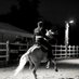 A B Film Horses (@abfilmhorses) Twitter profile photo A B Film Horses (@abfilmhorses) Twitter profile photo
