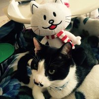 my@BUMP (@my37bump) 's Twitter Profile