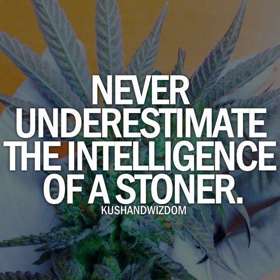 highthoughts151's profile picture. 