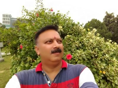 Pawan313's profile picture. खुद्दारी वजह रही कि
ज़माने को हज़म नहीं हुये
पर सच मानों ख़ुद की
नज़रों में कभी कम नहीं हुये ।।
