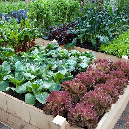 trutheating's profile picture. Eat Healthy, Live Healthy, Be Healthy  #sweatingonsundays, #trutheating, #eathealthy, #livehealthy, #behealthy