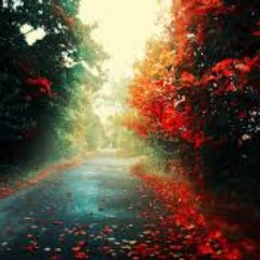 catarina19993's profile picture. 