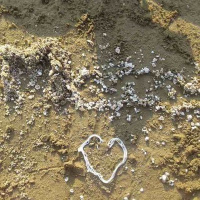 Marta020512's profile picture. 