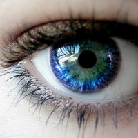 Ewa Hermanowicz (@miscelanousmind) 's Twitter Profile Photo