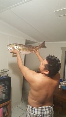 suvir arriva aveces cuesta,pero lo que mas cuesta es mantenerse pero caerse te hace mas fuerte y cabron. asi que si me caigo me levanto fuerte yMasCHINGON