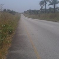 Mohamed Lamin Kamara, (Marketing Freelancer). (@mlksardo_lamin) 's Twitter Profile