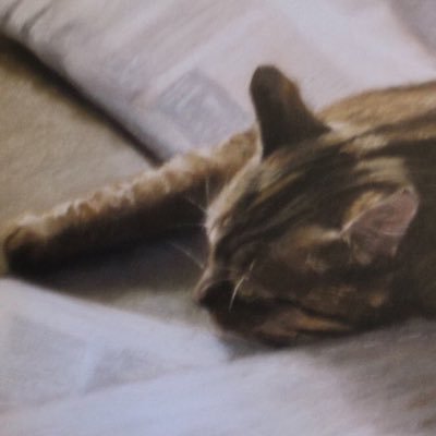 Jerez4869's profile picture. Sherry x Sherlock