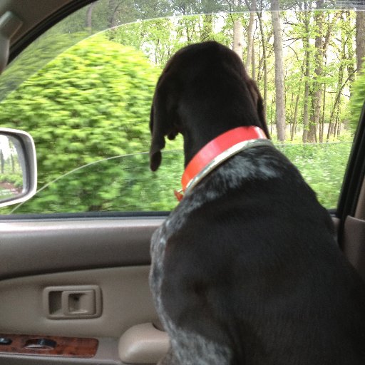 TedSki4's profile picture. Award winning photographer