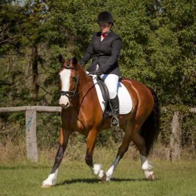 linda_schiemer's profile picture. Veterinarian with a passion for the magnificent Equine. Keen Eventing rider in my spare time!