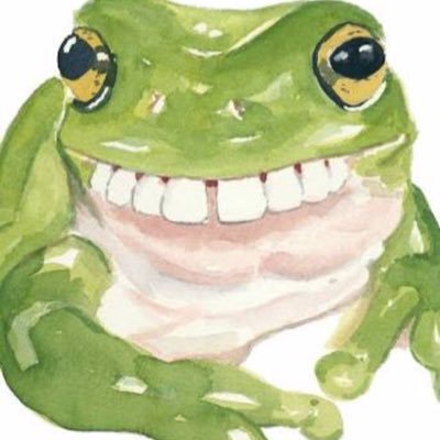 internet frog internet frog twitter