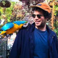 Mark Doman (@markdoman) 's Twitter Profile Photo Mark Doman (@markdoman) 's Twitter Profile Photo