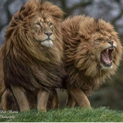 rep716's profile picture. 