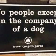 Pragmatic progressive. Civil rights, repro rights, equal rights, voting rights, healthcare. Hillary forever. Biden/Harris. Must love dogs and New York.