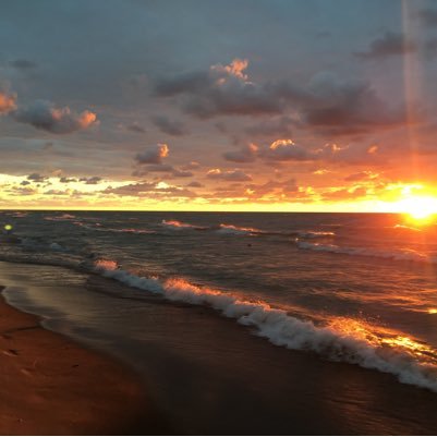 dane_gregoris's profile picture. opinions are my own.