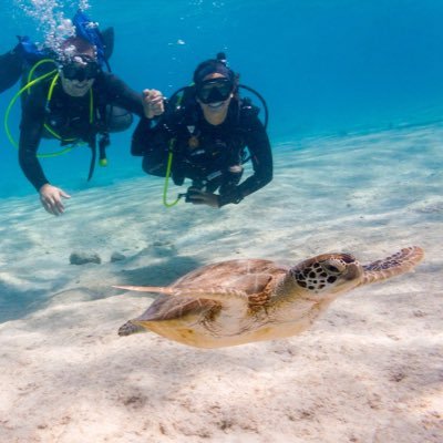 daniellemolloy4's profile picture. 