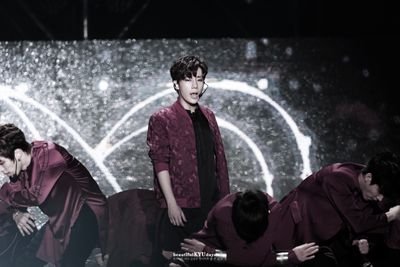 vibrantkyu's profile picture. 김성규