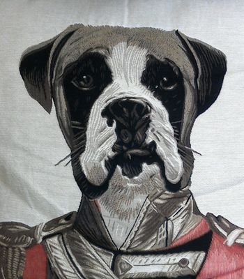 popscdi's profile picture. prof-doc en collège rep + sur la côte d’Opale