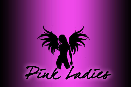 PinkLadiesWorld's profile picture. The Exclusive Distribution System under GrindKing Media Management