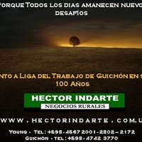 Héctor Indarte (@hectorindarte) 's Twitter Profile