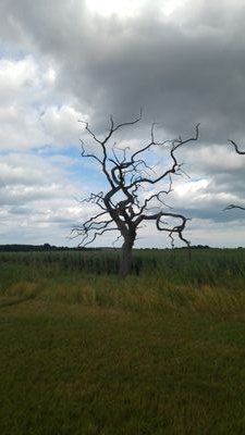 nigele47's profile picture. 