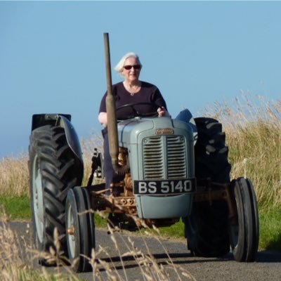 Retired museum curator. Lives Shapinsay, Orkney. Likes books, knitting, photography, writing, cats and community.