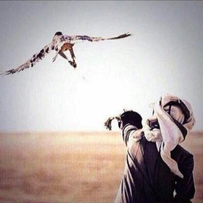 Bofarhan20's profile picture. [ سبحان اللہ ؤبحمدهہ سبحان اللہ العظيم' ]