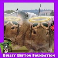 Eric Brazier (@maxmaster31) 's Twitter Profile