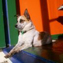 peter falke - @everydayRed - Twitter