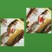 Paola Quiroz (@qpaola571) Twitter profile photo Paola Quiroz (@qpaola571) Twitter profile photo