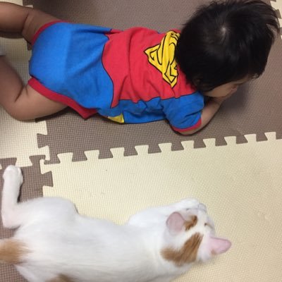 2016.6誕生 女の子👶🏻ベビー(🇵🇭×🇯🇵)シングルマザー ママさん＆猫好きさんフォローお願いします♡ 猫🐱５匹【動物＆ママ垢】