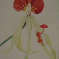 Astrid Mora (@astridmoral) 's Twitter Profile Photo