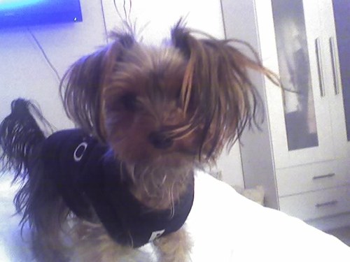 Jailbird01's profile picture. Worked in Legal Profession for  23 years before retiring. Now works in Mags Court. Loves travel and Caribbean.