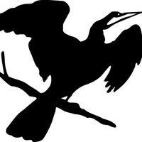 Anhinga Press (@anhinga_press) 's Twitter Profile