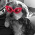 Kimberley (@kcampbell629) Twitter profile photo Kimberley (@kcampbell629) Twitter profile photo