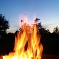 Ott Chip (@ottchip) 's Twitter Profile