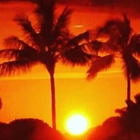 TWAL (@p51992) 's Twitter Profile