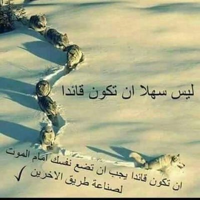 ‏حب
