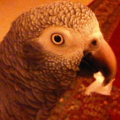 shesame's profile picture. 