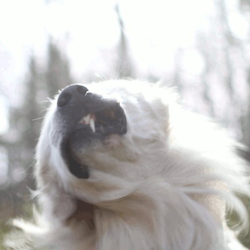 unhammer's profile picture. gjer ting med språk og data for @trigram_no 
//
@unhammer@mastodon.social