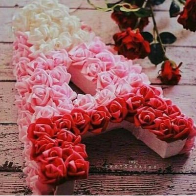 Ecpc6Gu's profile picture. 